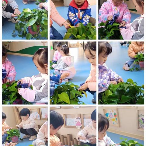 美利老师的简篇