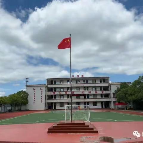 经验同分享 交流共成长——我校开展班主任工作分享会