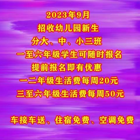 新野县施庵镇第六中心小学校(朱庄小学)