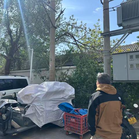 “守护安全，迎风而上”炫特家园社区大风天气安全巡查