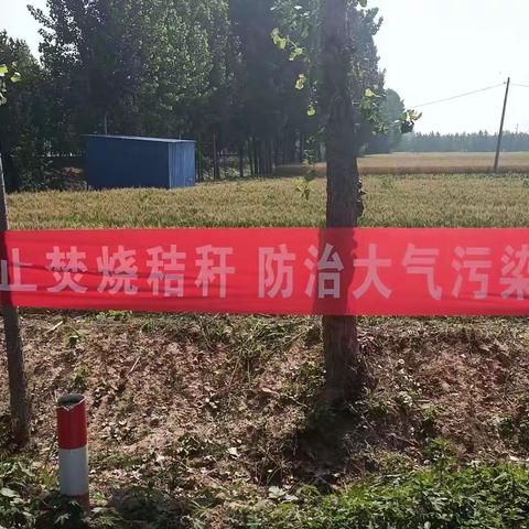 禁止焚烧秸秆,还我蓝天碧水