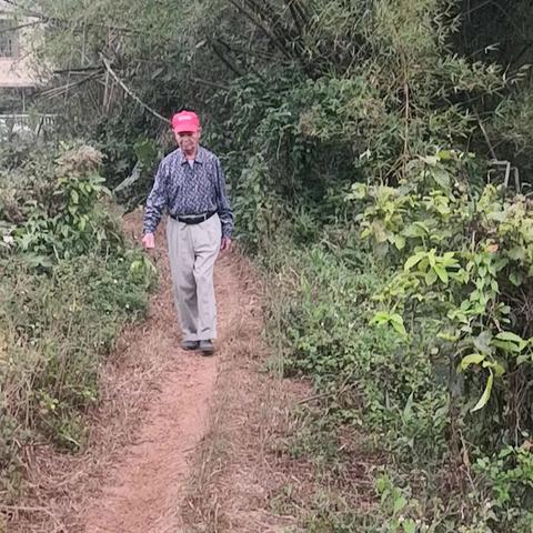 昌城摘艾叶