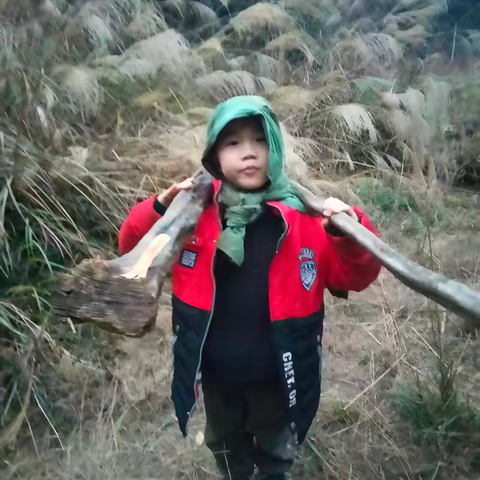 2511班：寒假劳动实践“劳动启新程，寒假绽光彩”