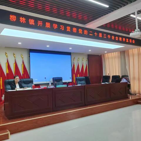 柳林镇妇联开展学习贯彻二十届三中全会精神宣讲会