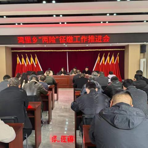 生病有“医”靠 养老有“保”障-湾里乡扎实召开2024年“两险”工作推进会!