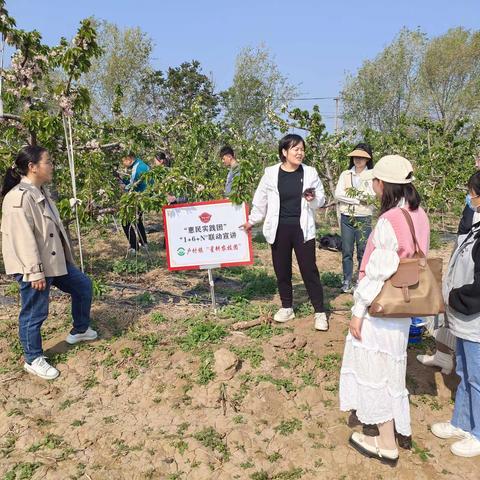 惠民实践团”“1+6+N”联动宣讲走进肖河村