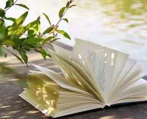 “感受淡淡墨清香”河西中学二年二班读书日系列活动