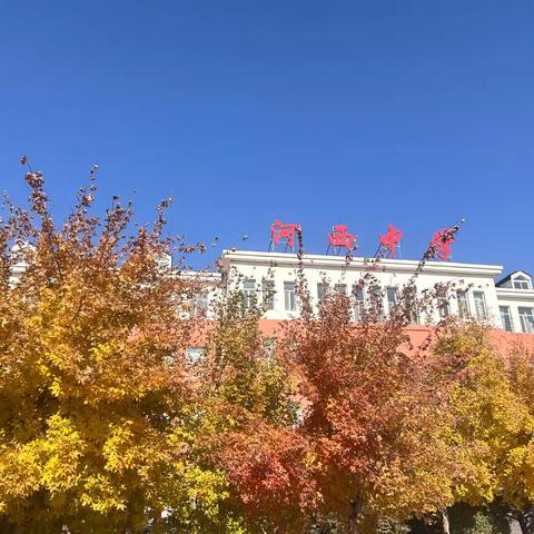 最棒的十月，最棒的你们——河西中学四年二班