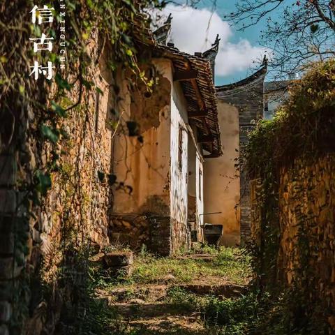 家乡文化——寒信古村