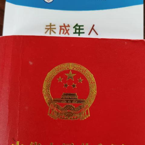 2023年8月11日上午程冠贤律师在兰秦村委会开展《民法典》《刑法》有关未成年人保护法律知识宣讲