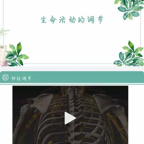 纸上得来终觉浅，绝知此事要躬行——新课纪实