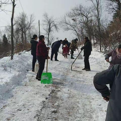 扫雪行动为群众出行保驾护航