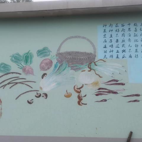 我们的菜园子