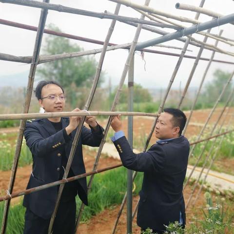 小满万物渐盈盛，投身园地桌满盈