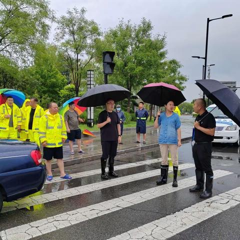 向“雨”而行！龙亭城管打好城市防汛主动仗