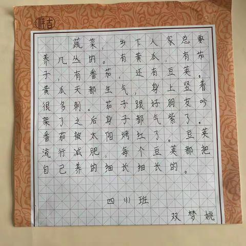 争当小作家 第一期