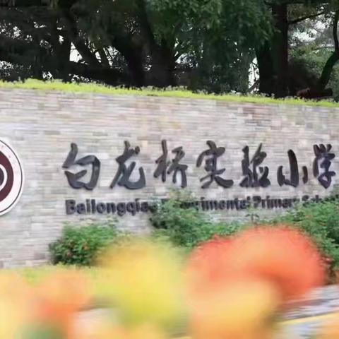 用代码与积木，编织少年科技梦——白龙桥小学2024学年第二学期创客拓展课