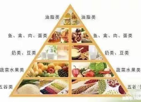 金罗镇中心（公办园）第一周美食回顾