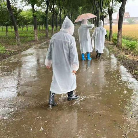 保险爱心助农 全力服务三夏