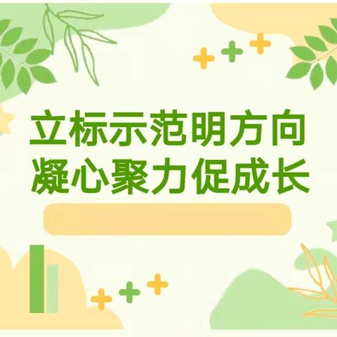 践行新课标   立标示范课——台儿庄古城学校开展科学立标示范课