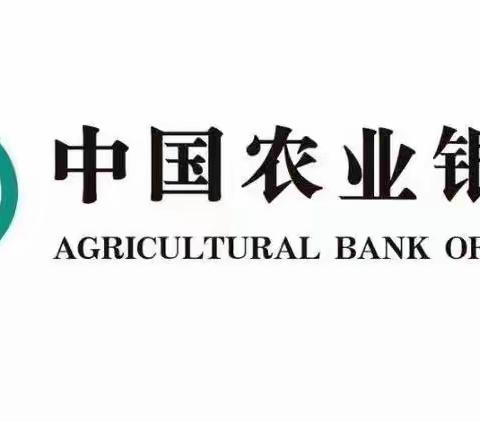 【农行吕梁分行永盛路支行、梧桐分理处数字化转型项目导入小结-第四周】