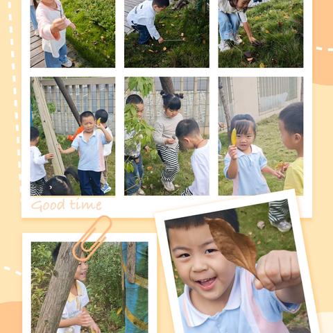 秋日里的幼儿园小日常：在自然与生活中成长