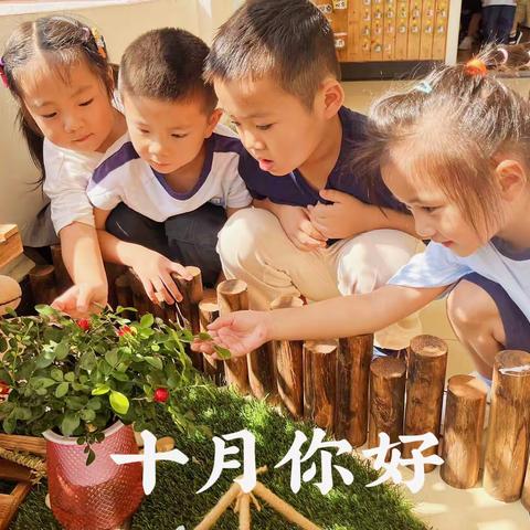 凝心聚力在九月·金秋时节再扬帆——新城中郡幼儿园九月工作纪实