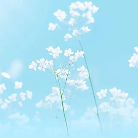 营养餐里的温暖时光 ‍——黄焖排骨香满校园  家长陪餐共护成长