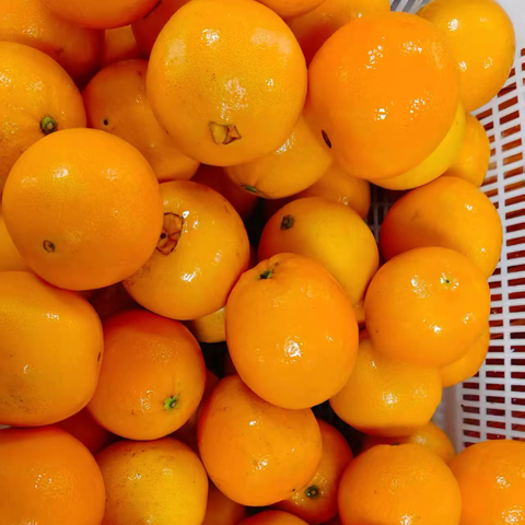 从厨房到餐桌的安心之旅 ‍——金小幼儿园的营养守护日常