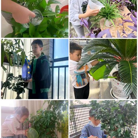 [九小·德育]百事兴于劳，童心践于行——淅川县第九小学“百事行”劳动教育活动