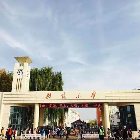 同心同行同学习，且思且悟且提升——吴忠市朝阳小学2022—2023学年第二学期期末研修侧记