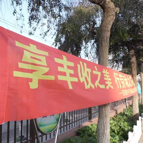 享丰收之美 行劳动之乐——东方德才小学2024年校园丰收节