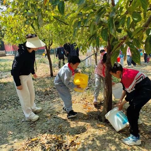 播种绿色希望，共建美丽校园——马街镇大西小学植树节活动