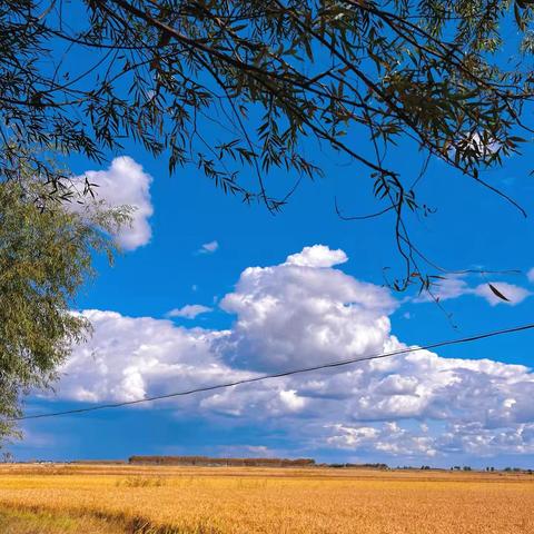 东北的秋：一场浓墨重彩的山河盛宴