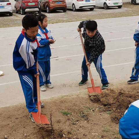 感知劳动乐趣 悦享幸福童年--开封市准提街小学四年级劳动教育纪实