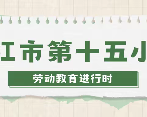 湛江市第十五小学劳动教育展示