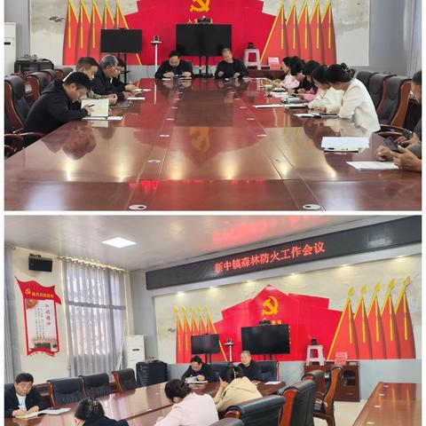 新中镇:严把森林防火“关”，防范于未“燃”