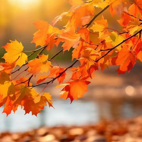 第六小学语文中心组杜娟十月总结