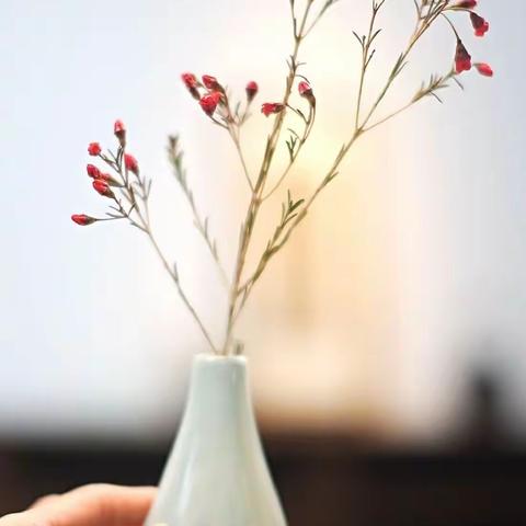 第六小学语文中心组杜娟2024年一月总结