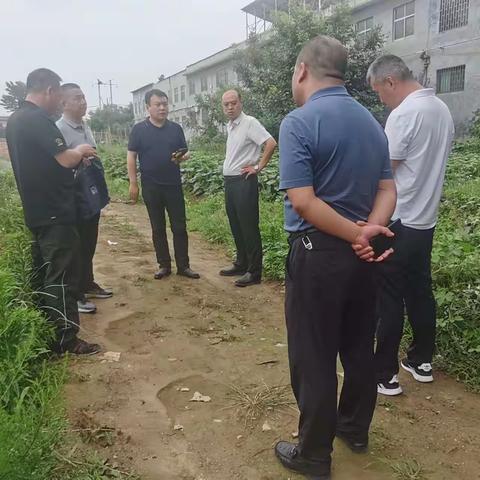 暖心帮扶  颗粒归仓-市资源规划局组织志愿者奋战麦收第一线，全力以赴保夏收