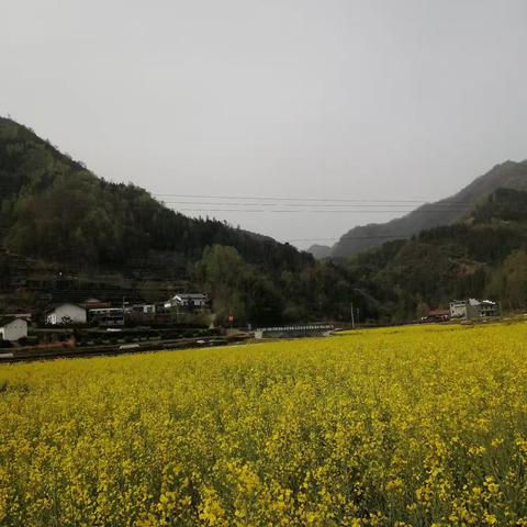 2025年调查员讲稿第5期