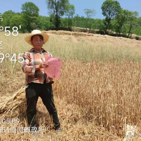 2025年调查员讲稿第6期