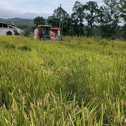 2025年调查员讲稿第10期