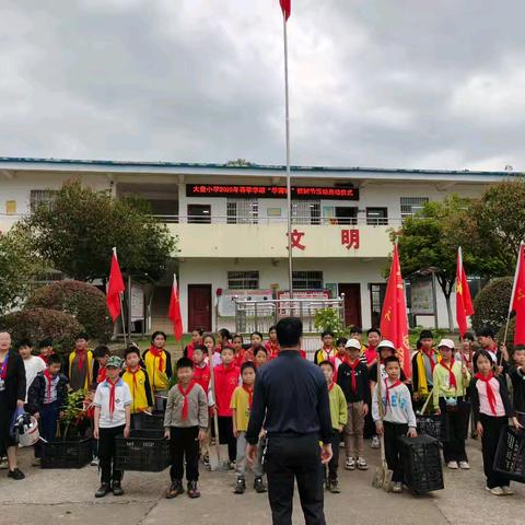 春意盎然，绿意满园！大盘小学师生携手共筑绿色未来