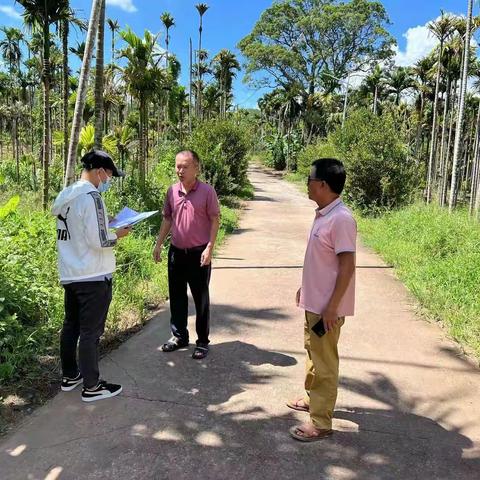 严守耕地红线-大火村扎实推进耕地“非粮化”整治工作