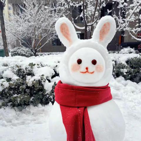 滔河乡小——《冬天的雪人⛄️》