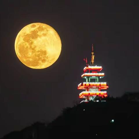 Mid Autumn Festival