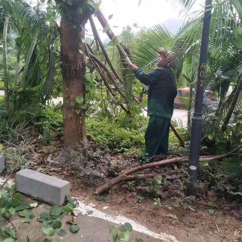 香山天地客服部12月工作简报