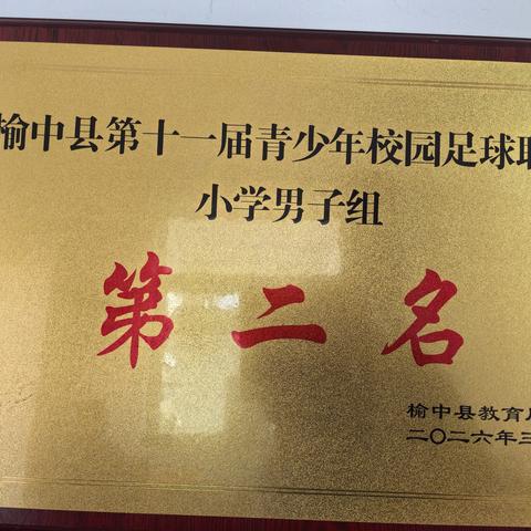 绿茵逐梦，捷报频传！柳沟店小学足球队斩获县赛双项大奖