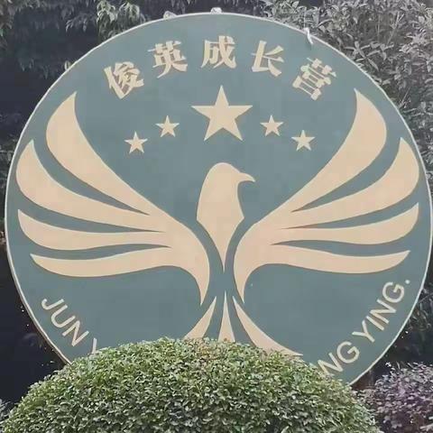 2023  俊英特训成长营军事夏令营-----报名啦